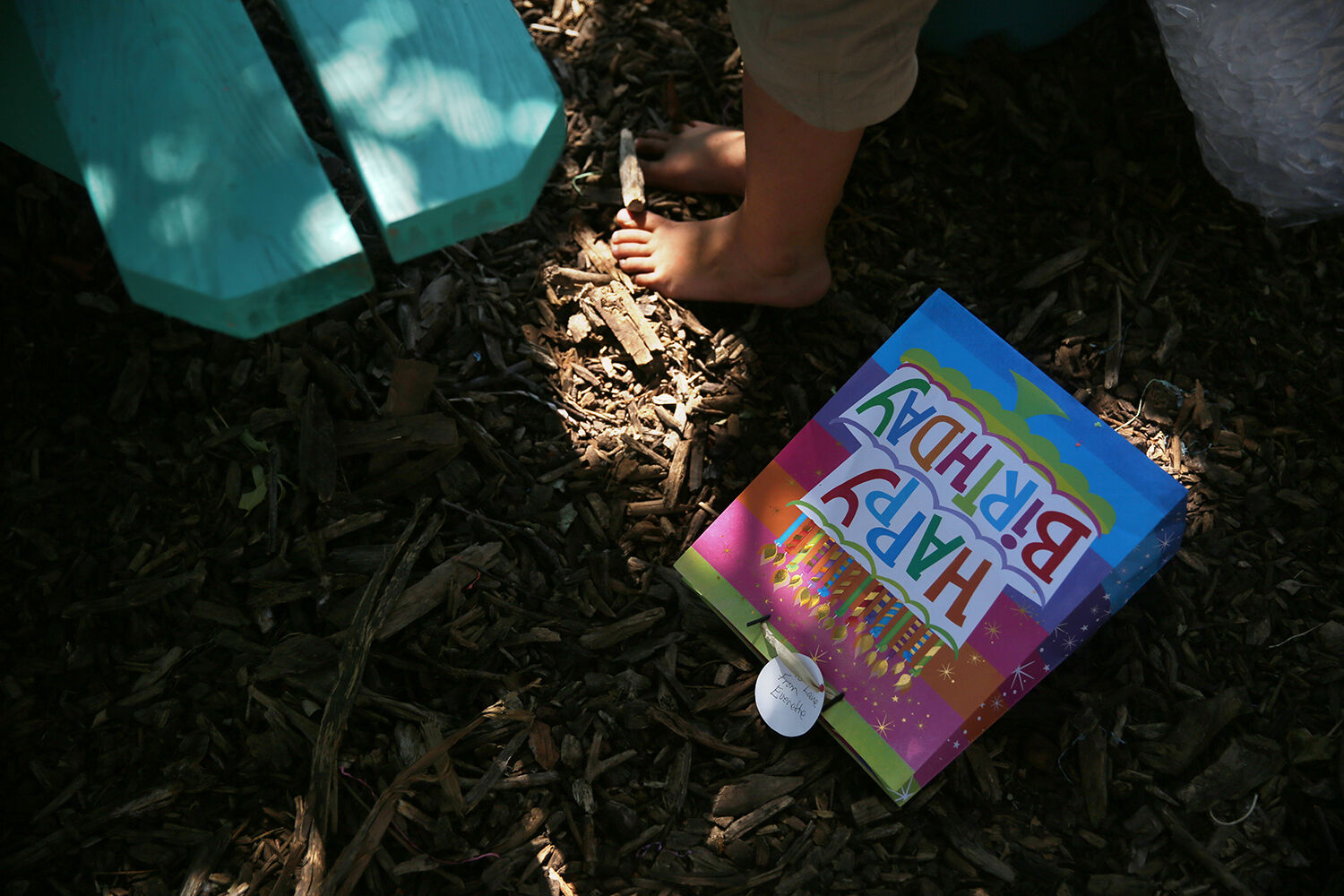 The picnic table under the tree became the hiding place from the sun